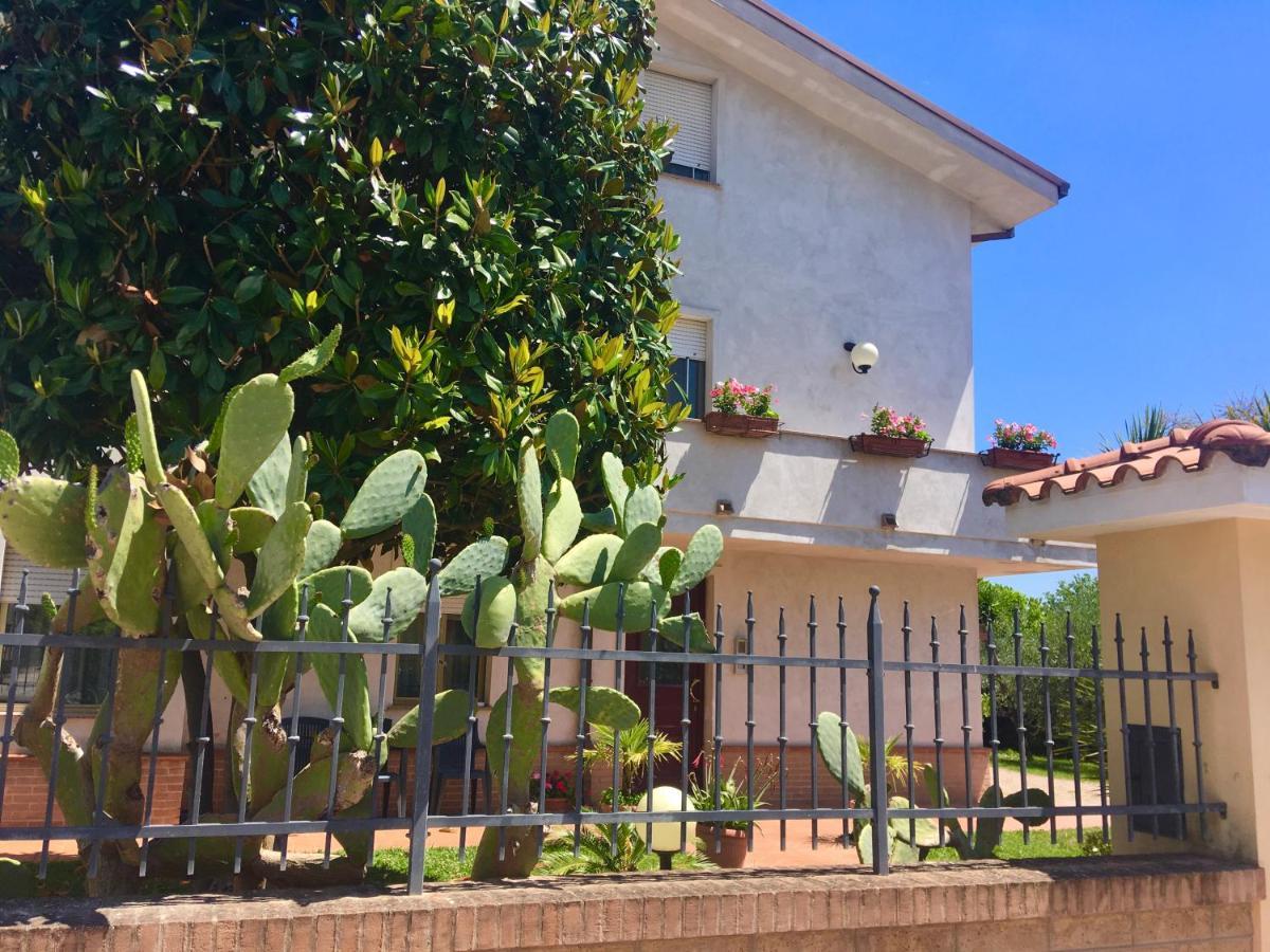 A Casa Di Tati Bed & Breakfast ชิวิตาโนวา มาร์เค ภายนอก รูปภาพ